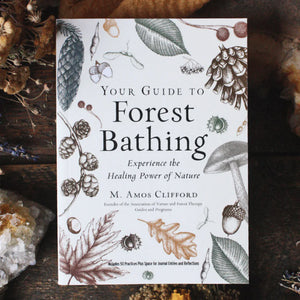 Your Guide to Forest Bathing